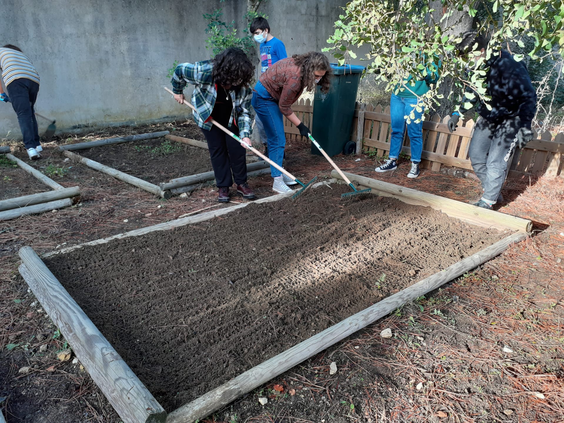 Preparação do terreno