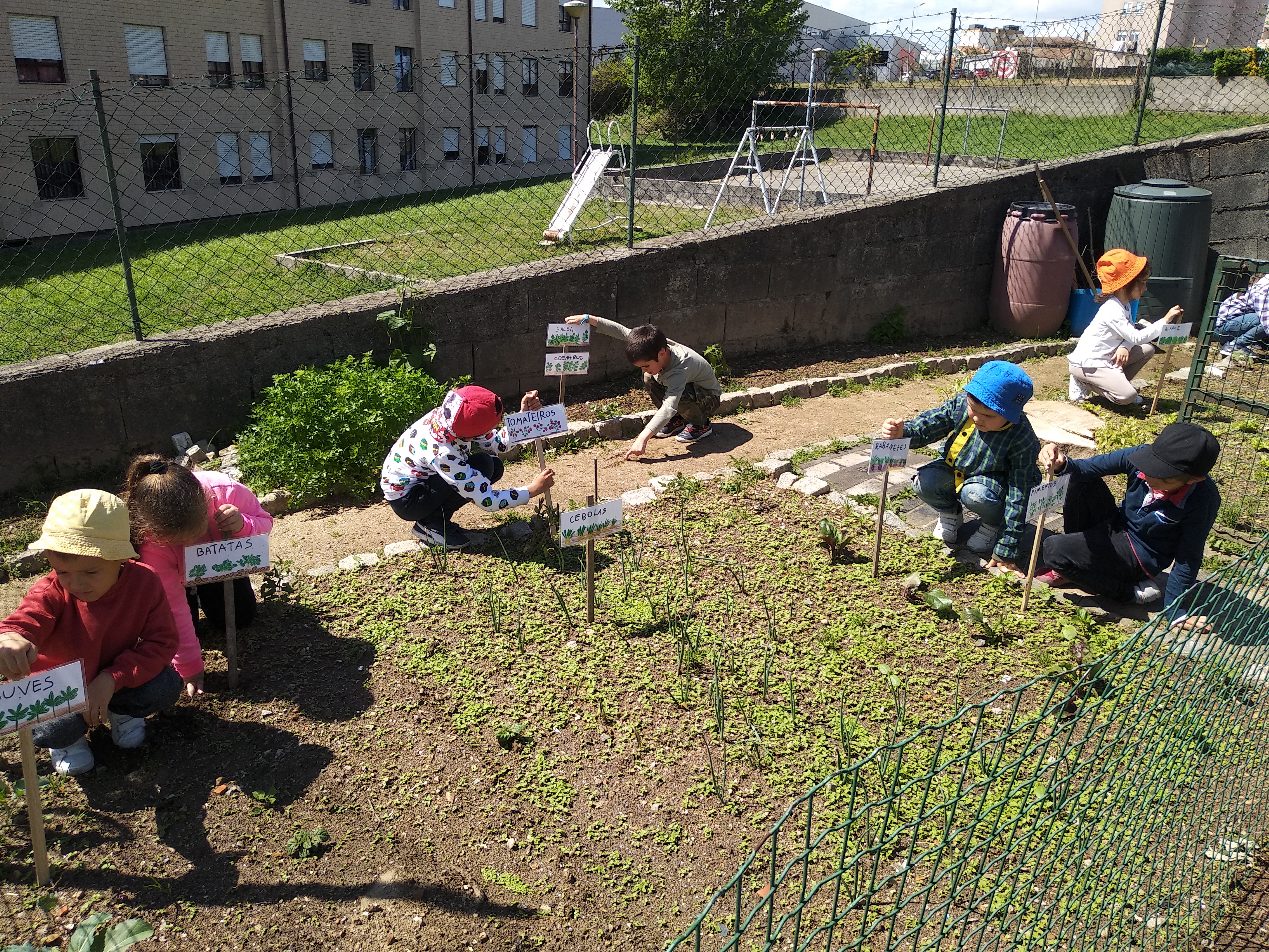 Identificar os plantas da nossa horta.