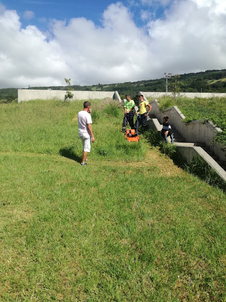 Corte da relva para realização de composto orgânico.