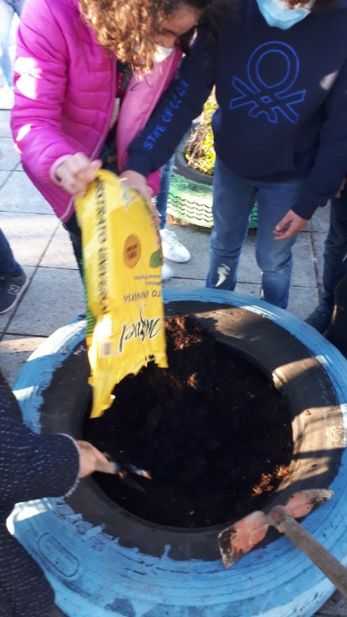 preparação da horta