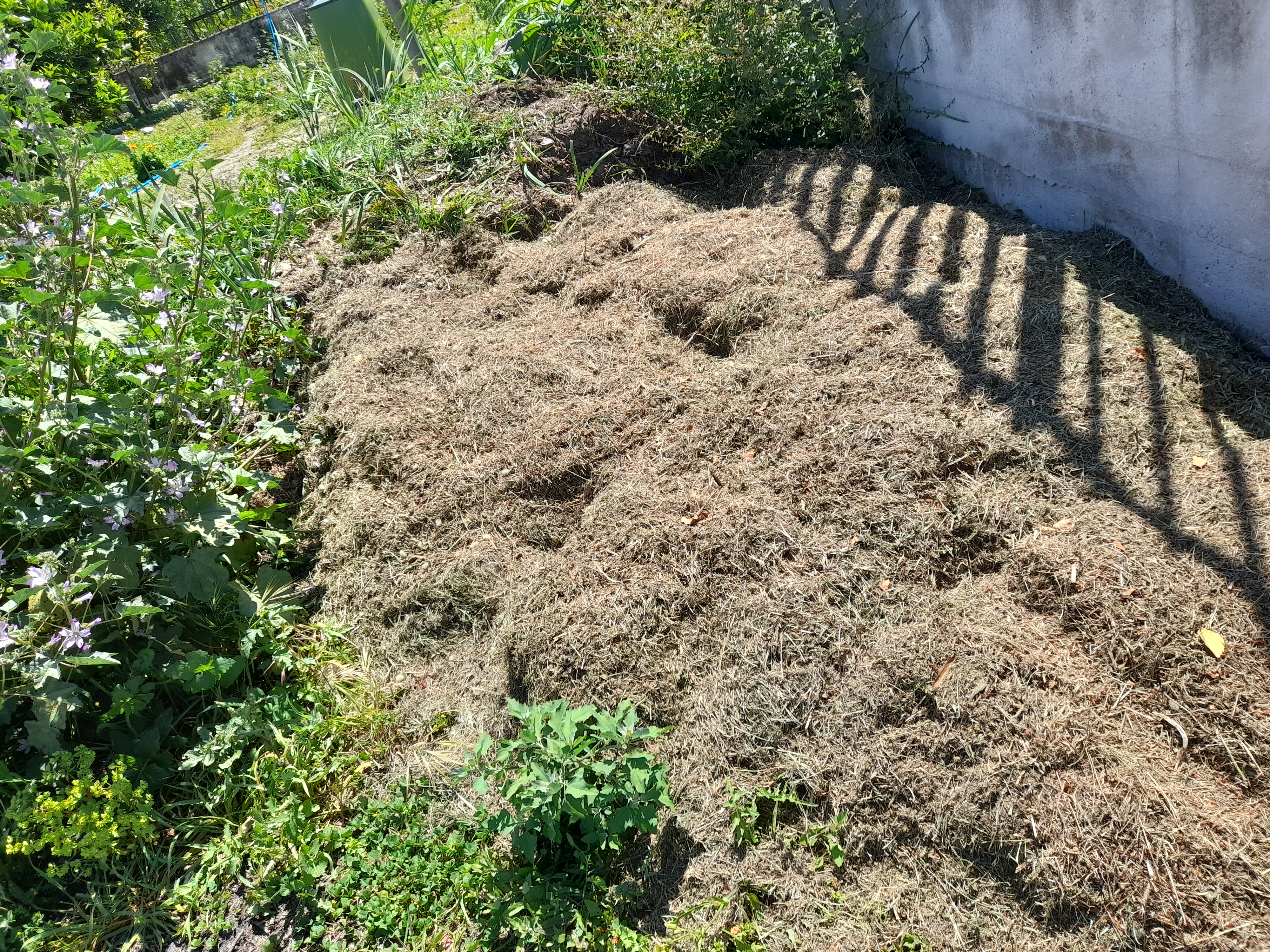 Compostagem em grande