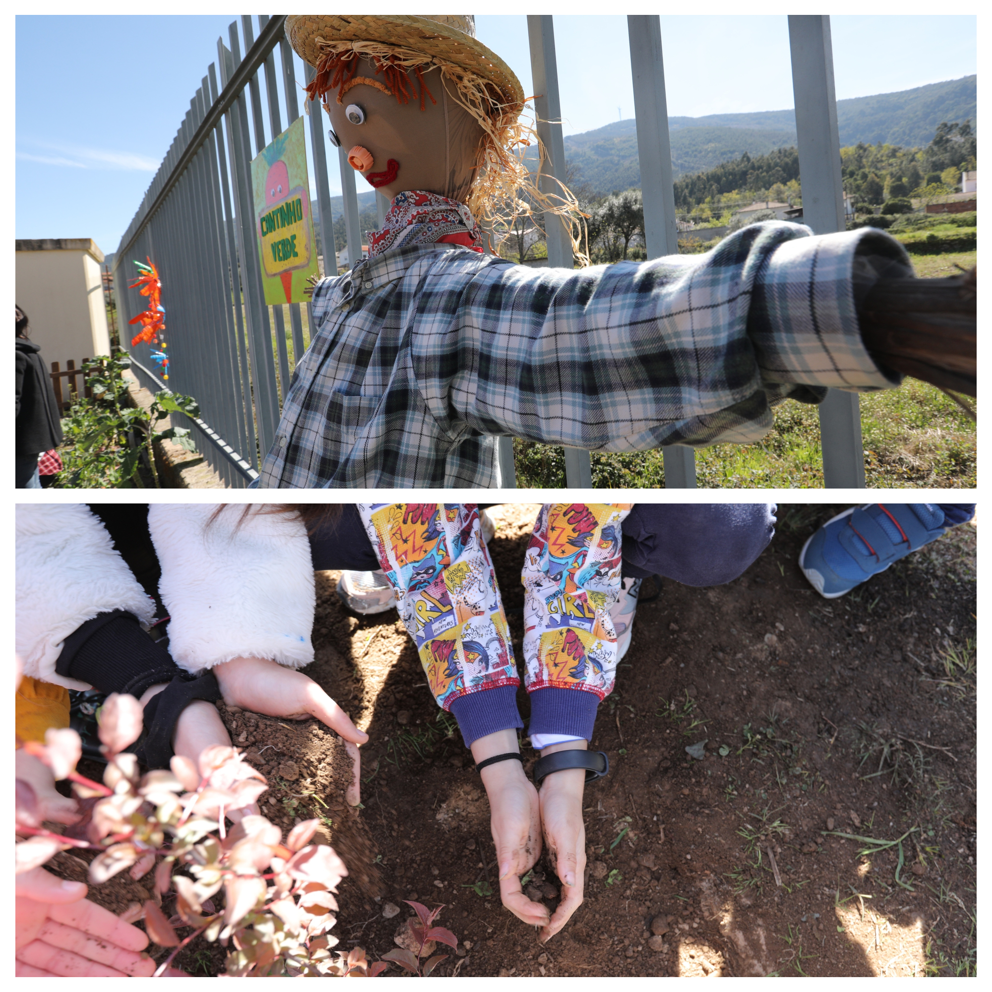 Tod@s Juntos...numa horta sustentável e ecológica....a Nossa Horta Verdinha!!!!