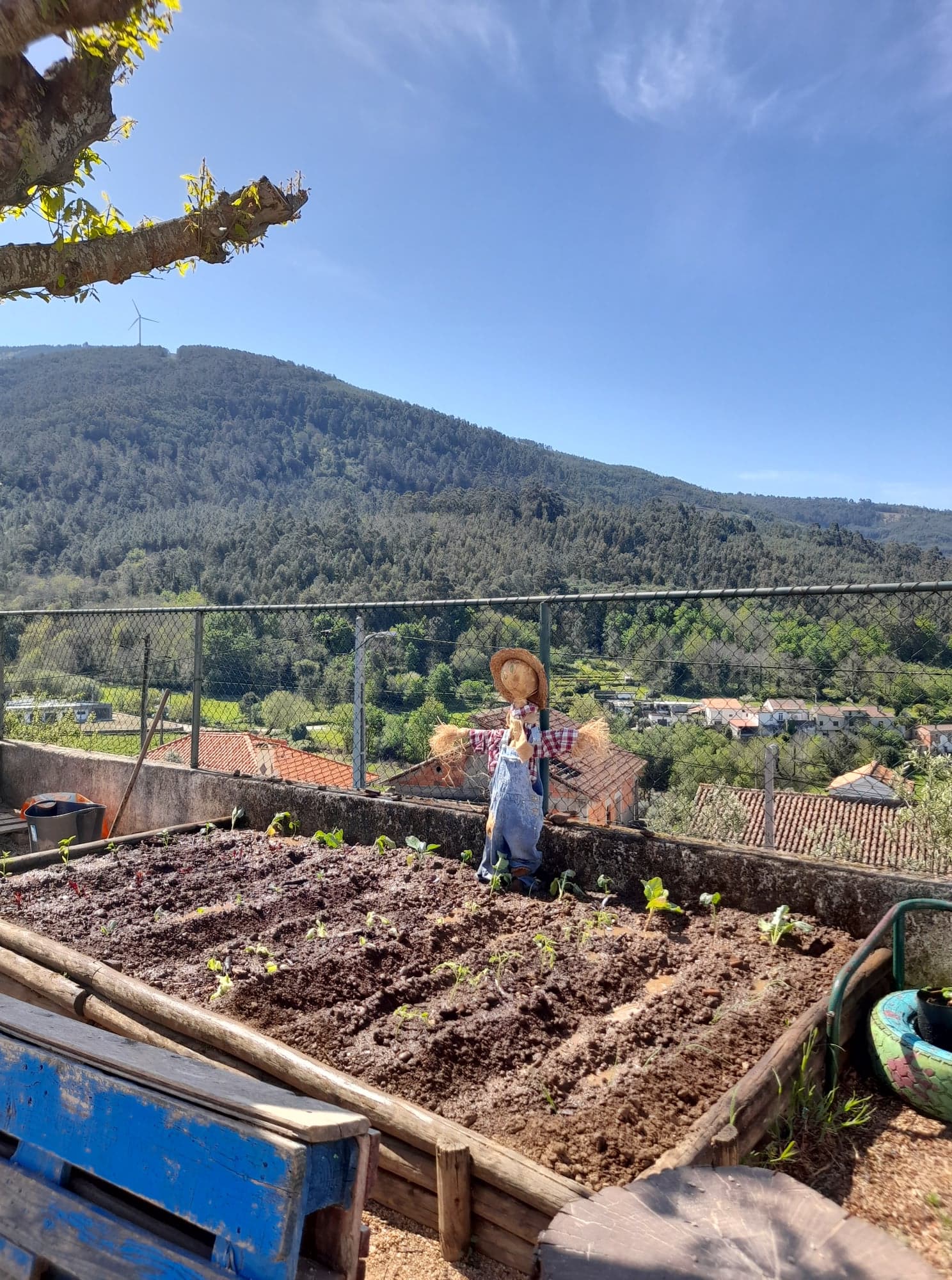Vamos preparar a nossa horta para receber novas sementinhas!
