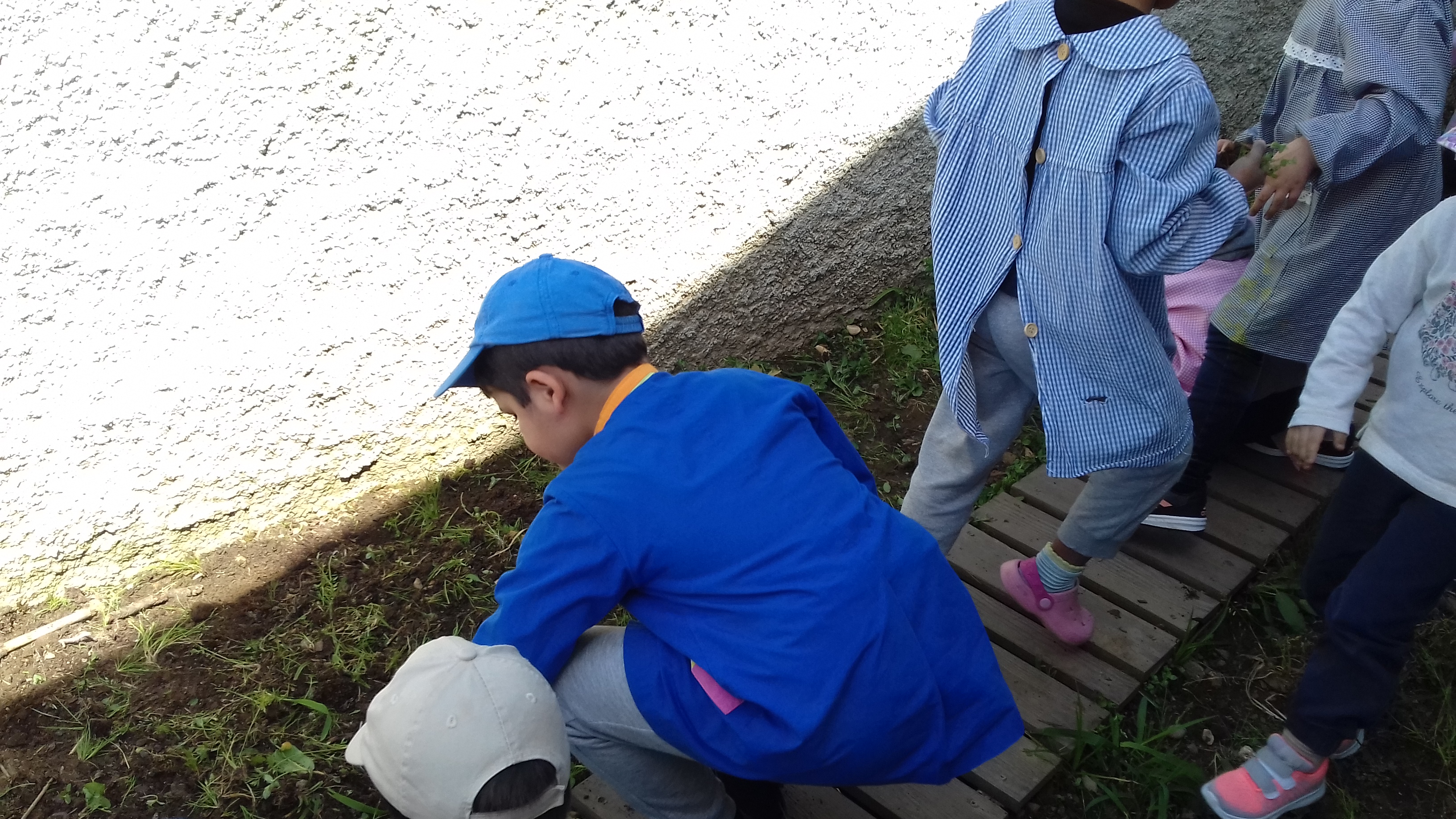 Limpeza da horta