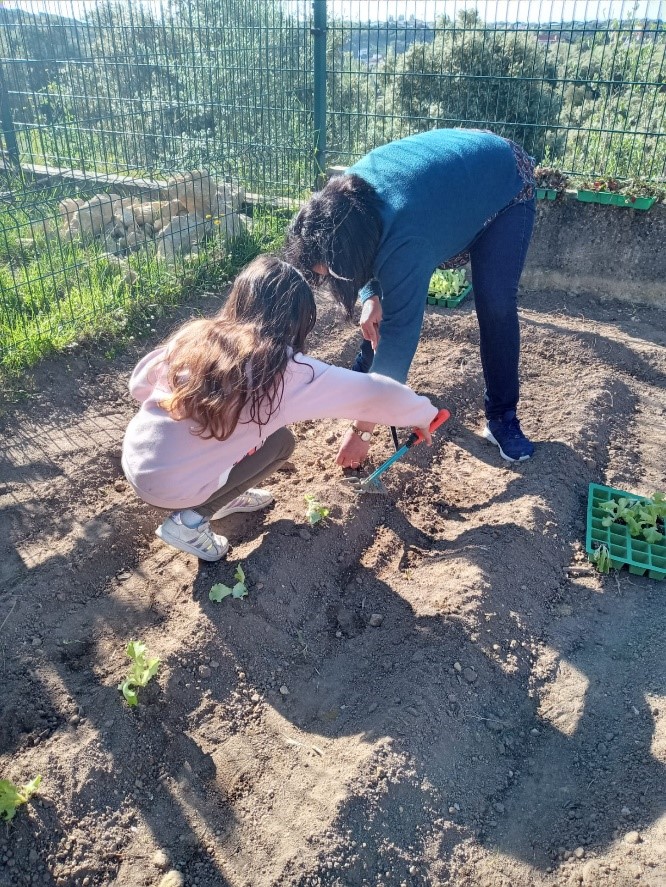 Todas os alunos quiseram participar na plantação de alfaces.
