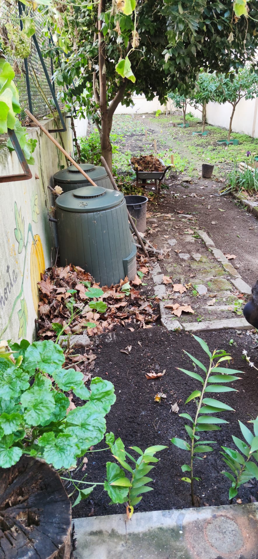Horta da E B Torrinha - Agrupamento de Escolas Rodrigues de Freitas