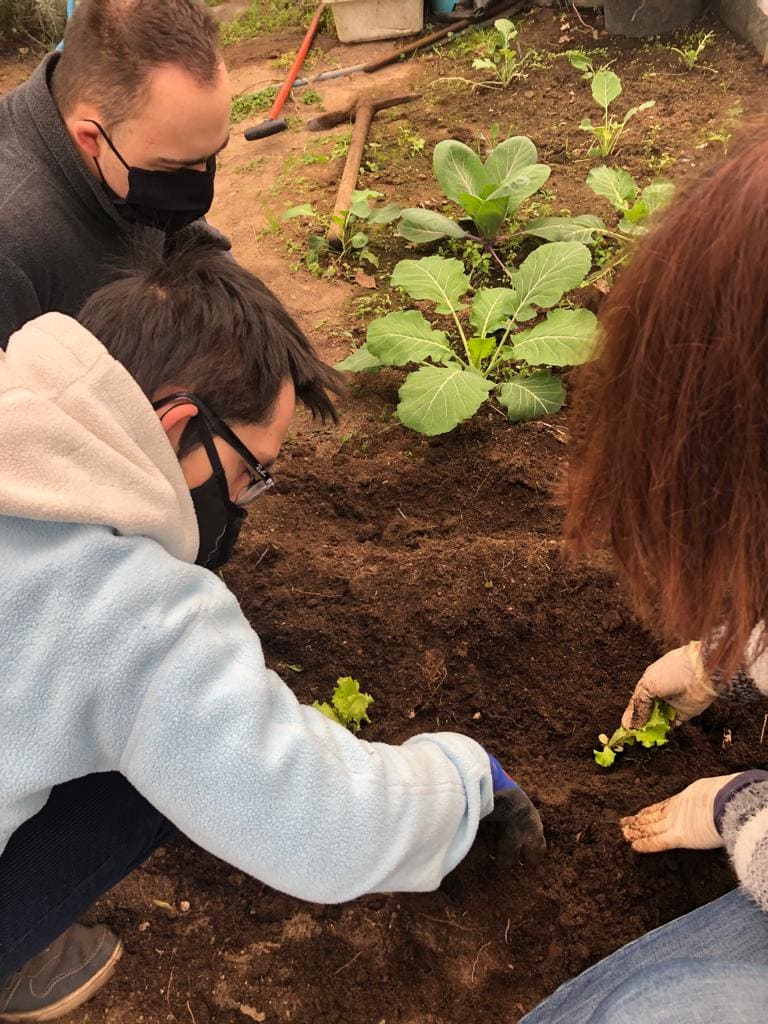 Plantação de alfaces ocorrida a 10 de Fevereiro. Alunos envolvidos Márcio e o Pedro juntamente coma professora Luísa Sota
