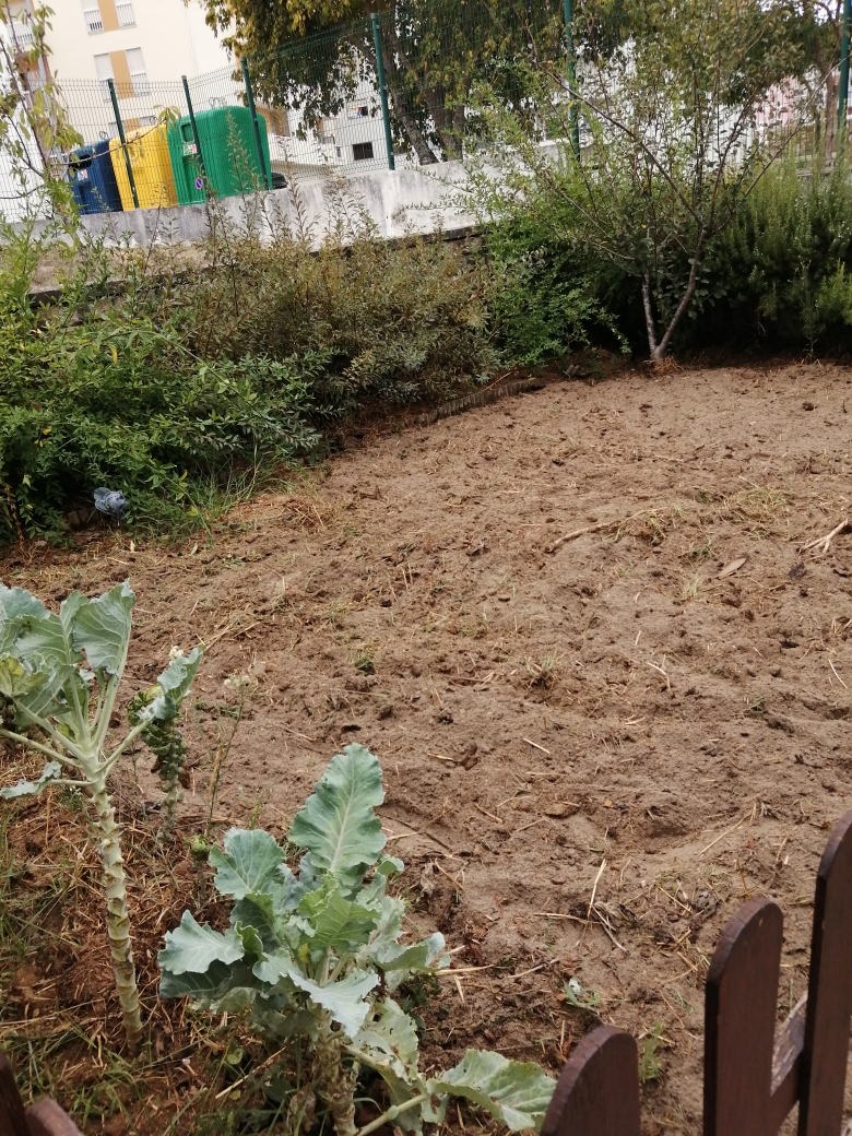 Terreno preparado e estrumado.