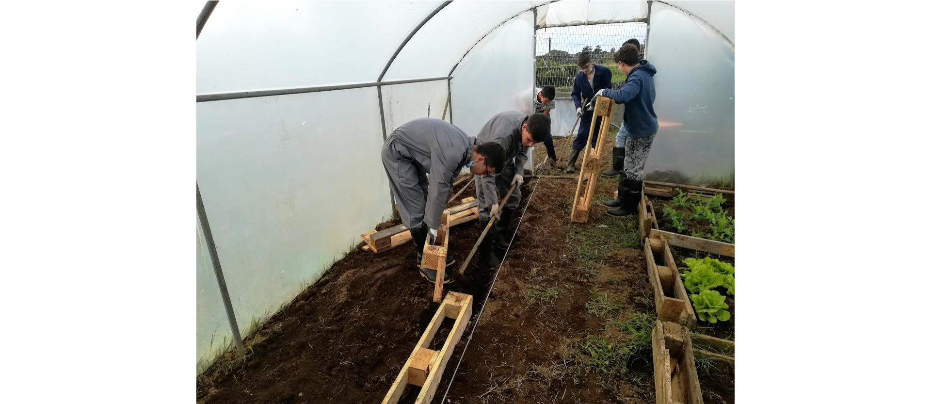 Construção de um canteiro com a reutilização de madeira de paletes