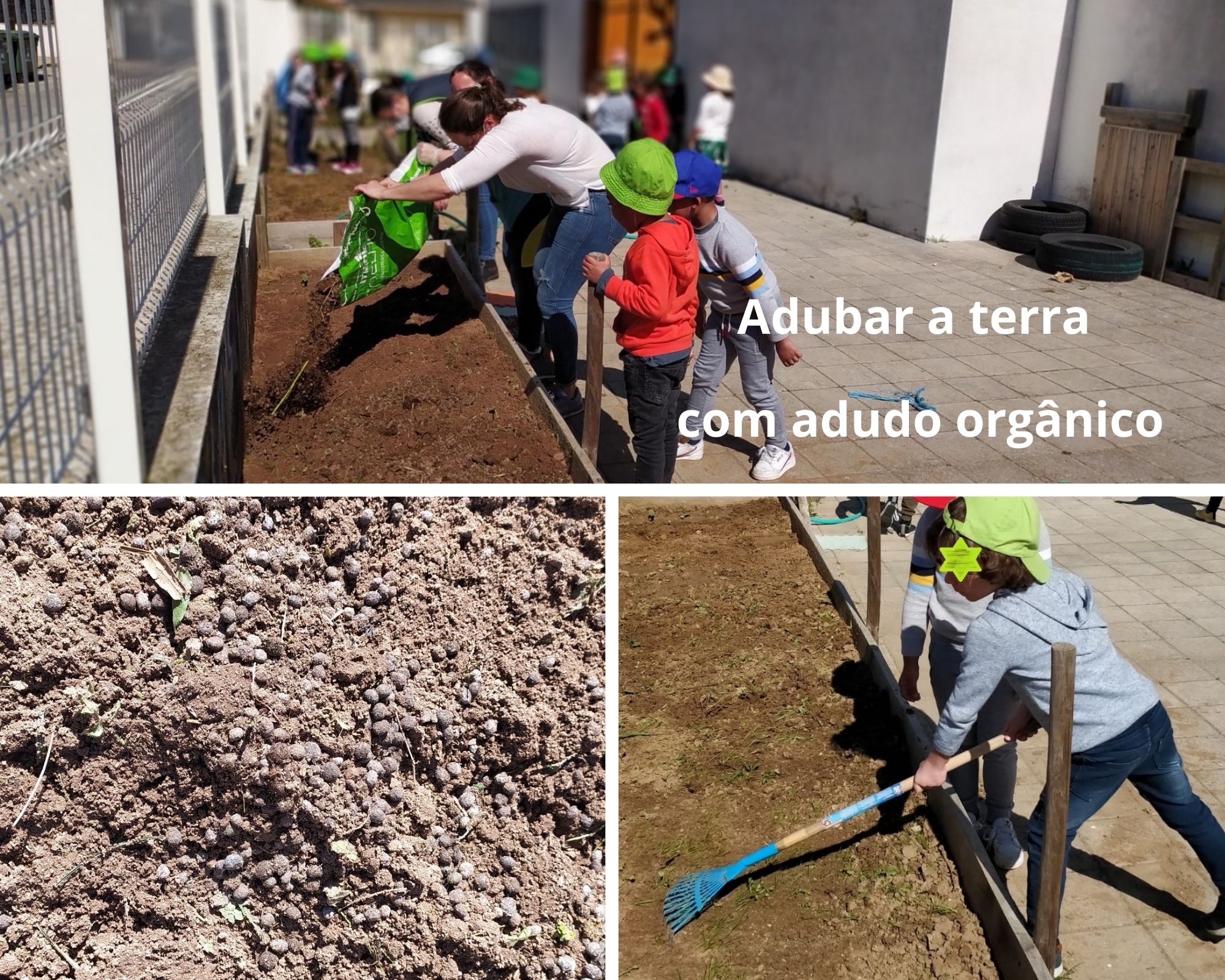 A terra foi adubada com adubo biológico (cocó de coelho)