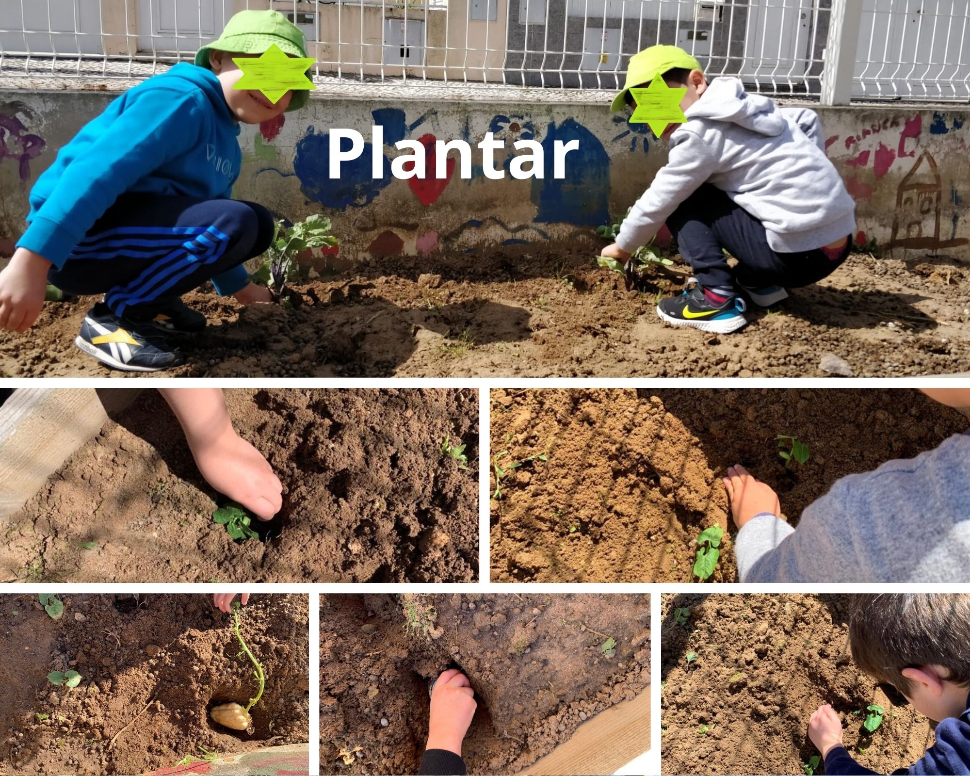 Plantamos  batatas, corjete, feijões etc