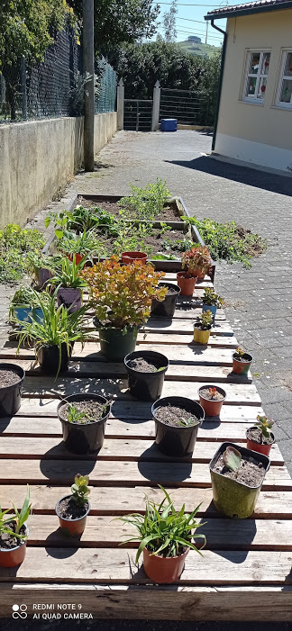Após manutenção...com bastante colaboração do adulto devido às ortigas