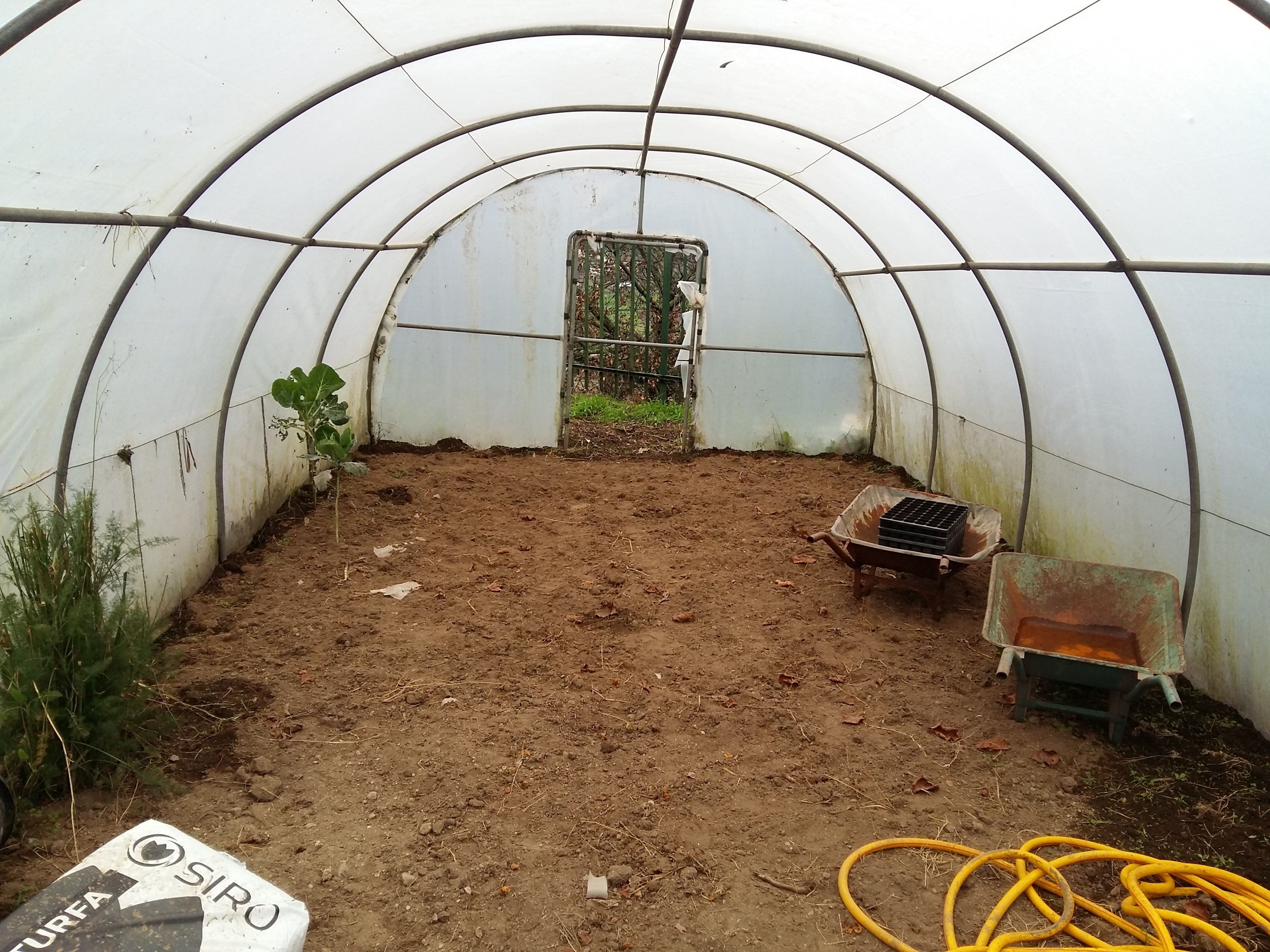 Estufa
Preparação da estufa para a plantação