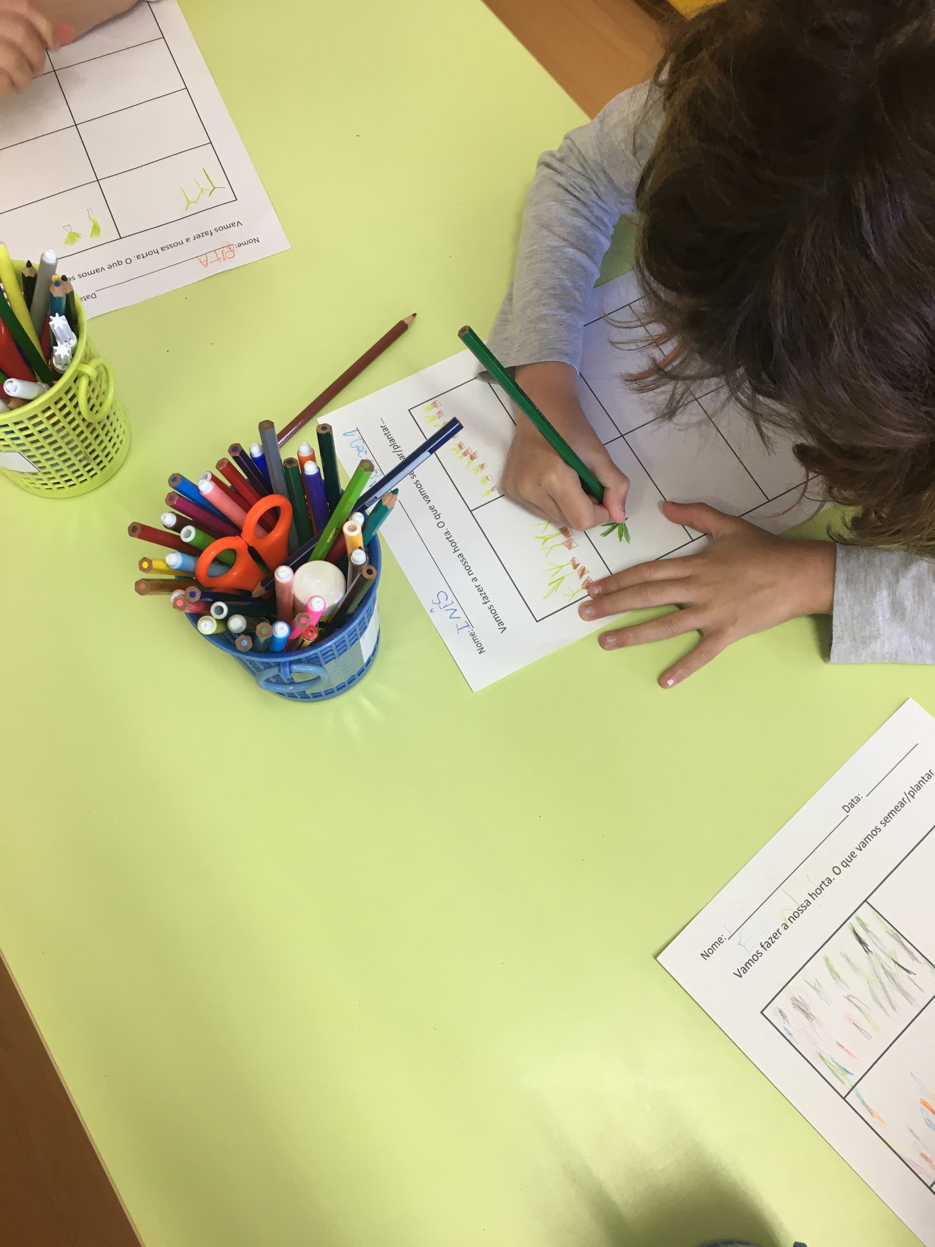 As crianças desenharam e quantificaram as plantas a semear, identificando, semelhanças e diferenças entre elas, antes de as irem semear.