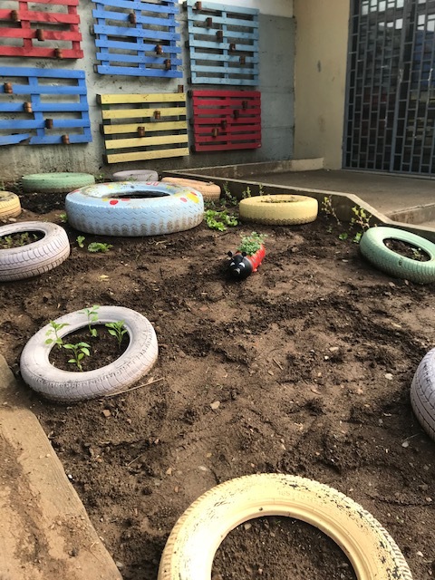 Horta já com algumas plantas.