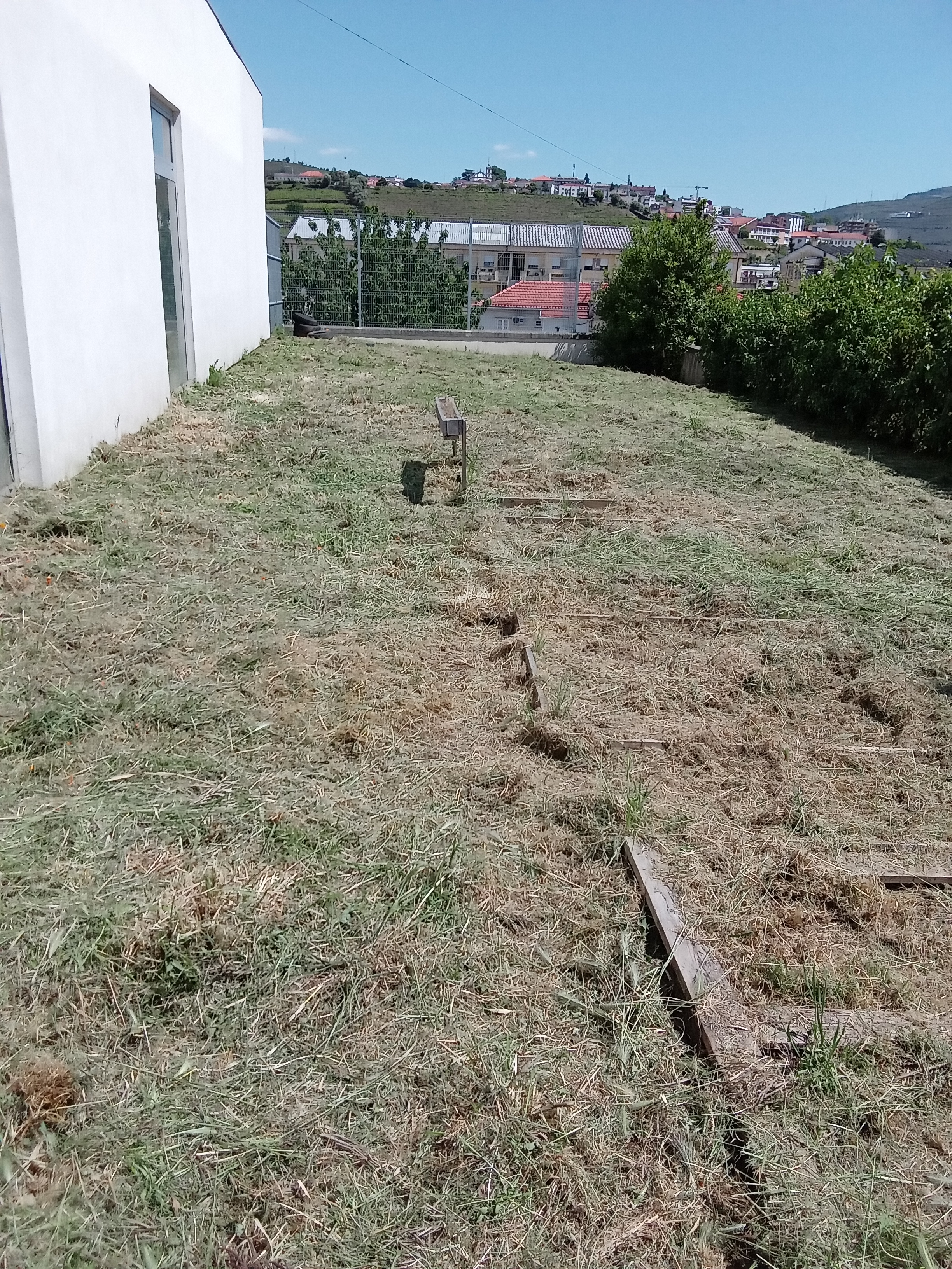 Espaço da Horta sem qualquer cultura