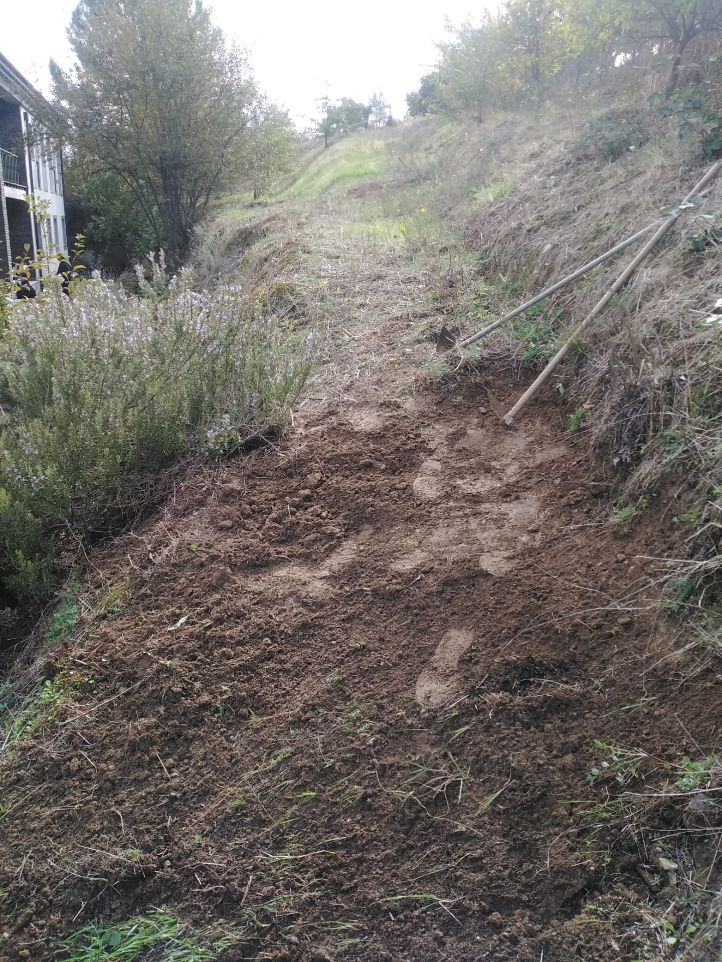 Início da preparação do terreno