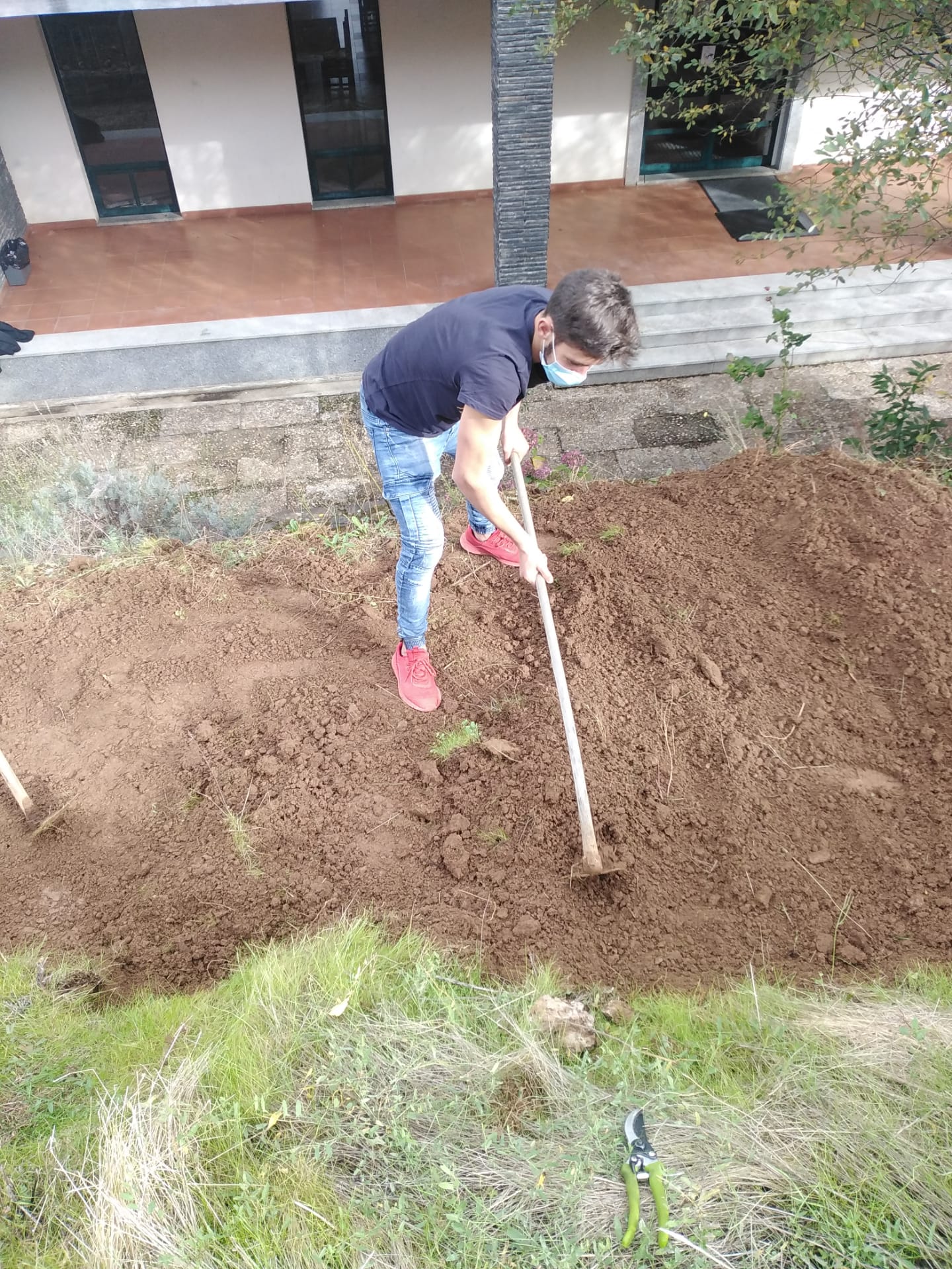 Continuação da preparação da terra