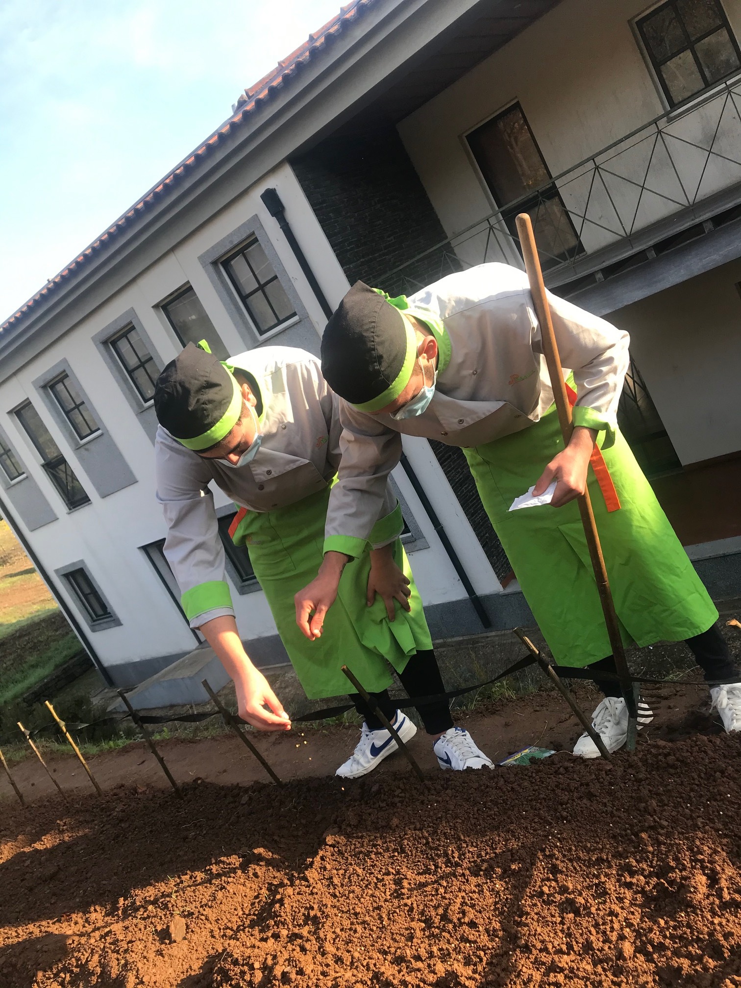 Sementeira