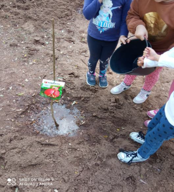 Plantas e sementes trazidas pelos alunos:
Romanzeira ; Marmeleiro; Abacateiro; Erva Príncipe; Couve
N abiça; Favas; Alhos; Físalis ; Salsa; Coentros; Espinafres; Couve Portuguesa