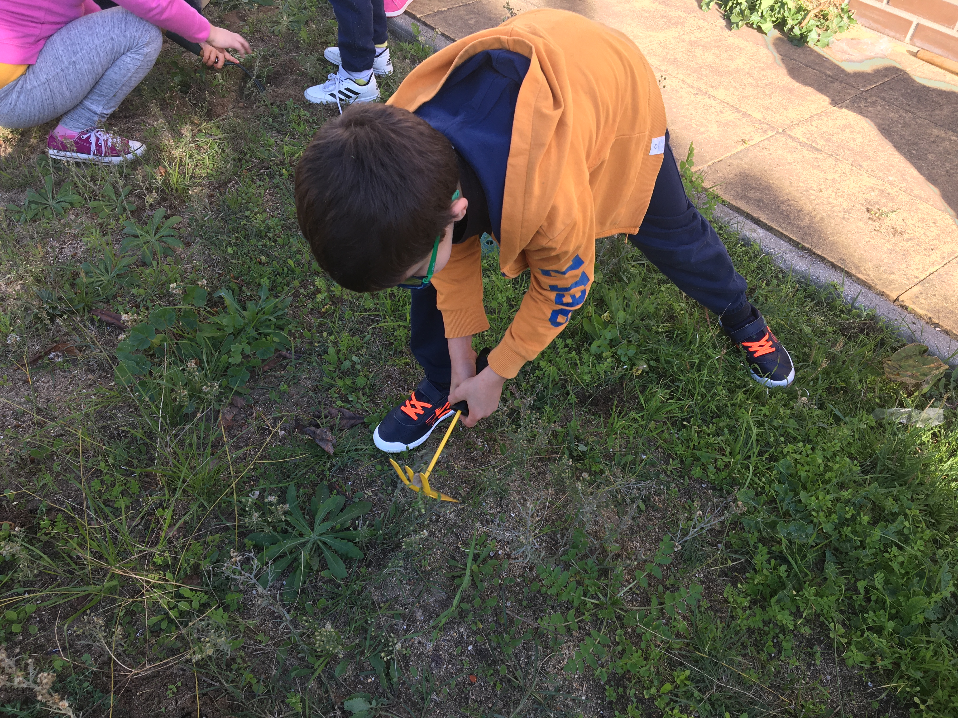 Preparação do terreno para plantação