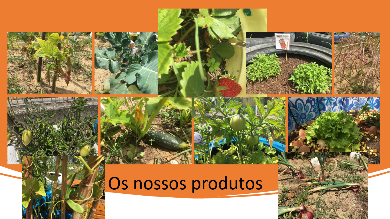 Os nossos produtos