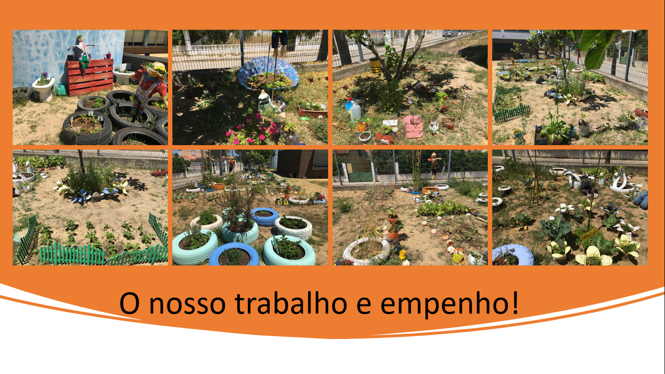 A nossa horta - muito trabalho e empenho!