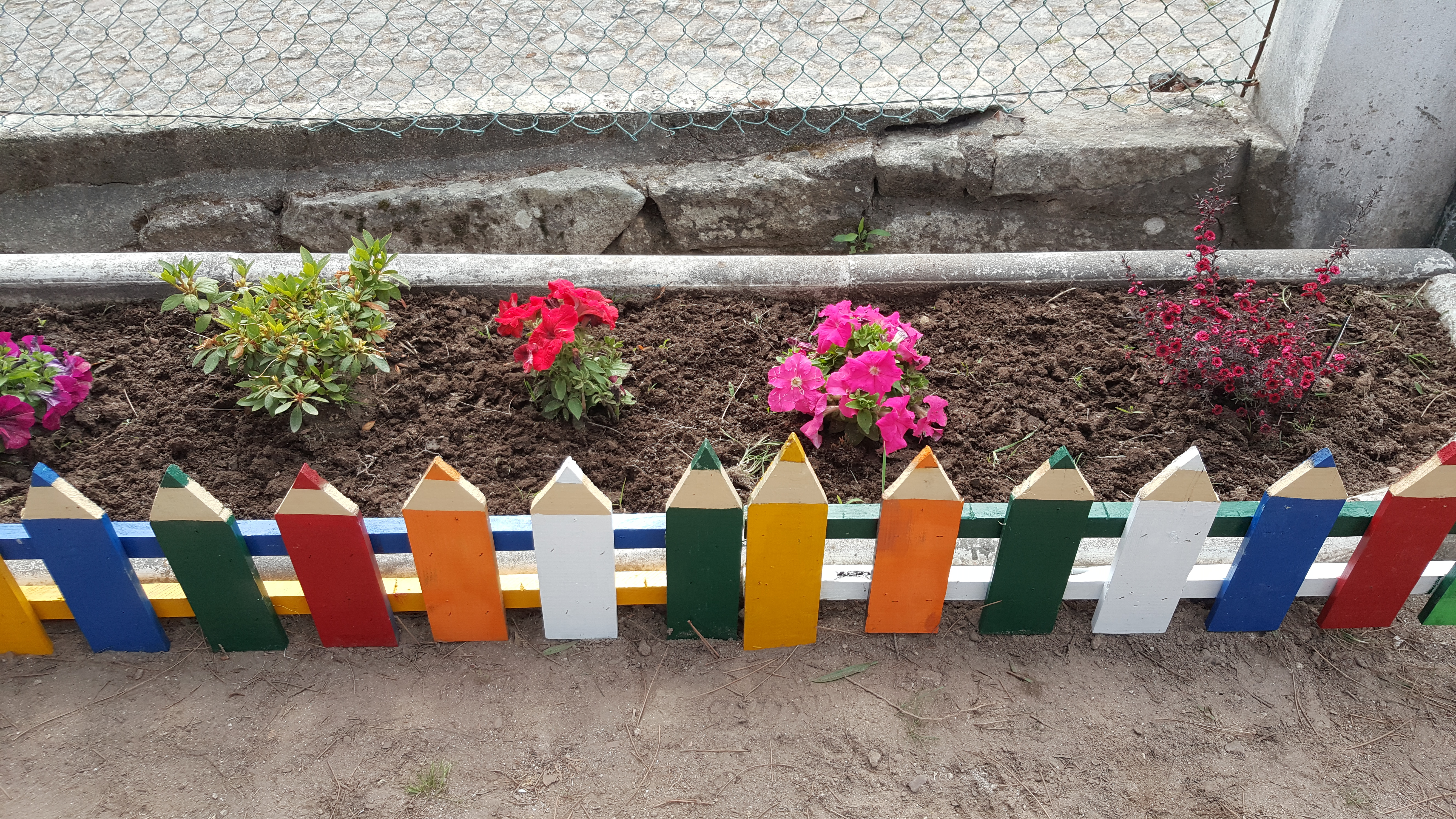 Canteiro de flores.