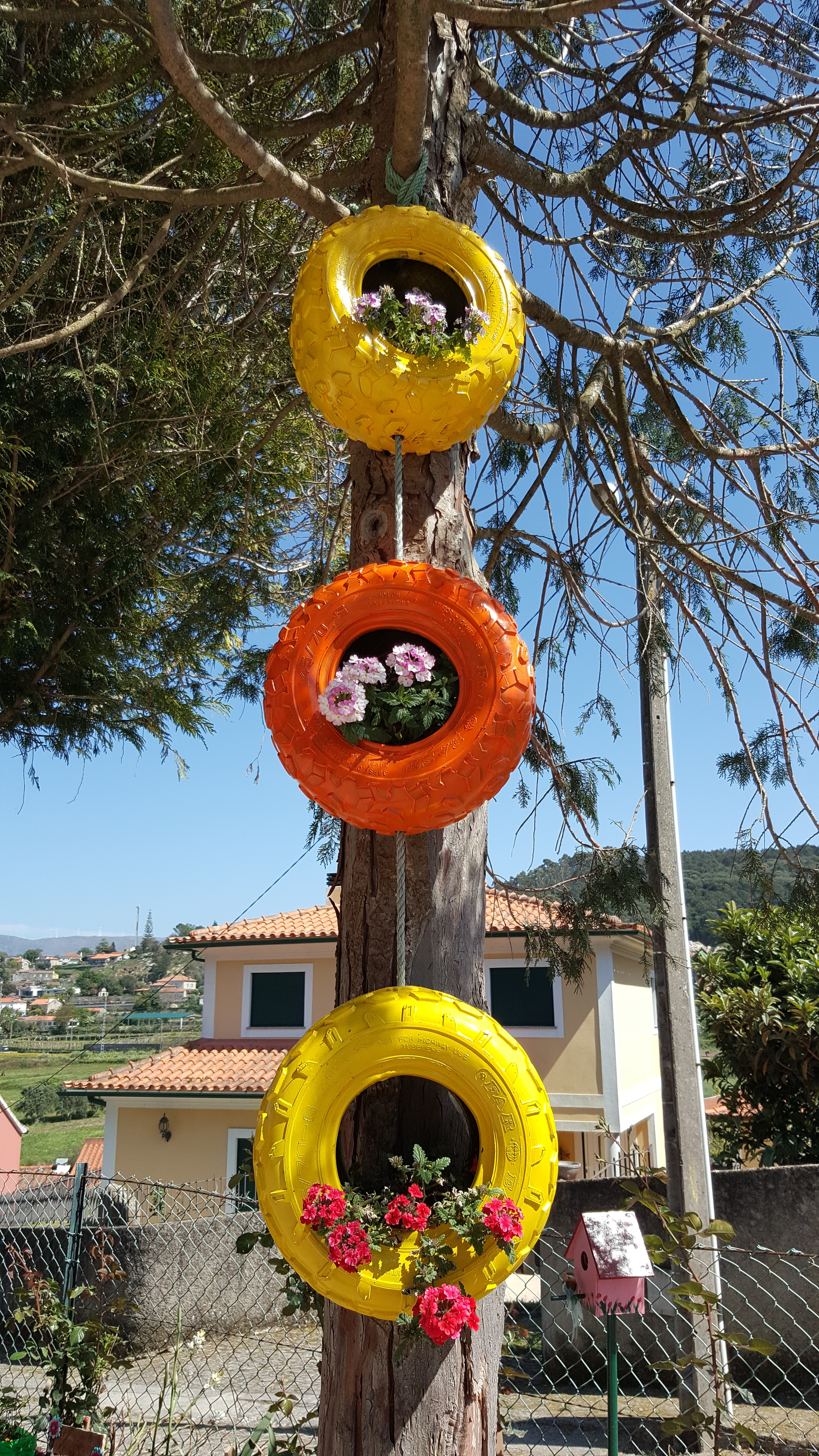 Flores em pneus.
