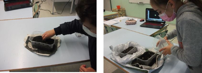 "Sementeira em sala de aula" - salsa
Para 3 diferentes plantas, os alunos semearam e regaram os diferentes vasos. Aprendendo a ver as diferenças entre as várias sementes.