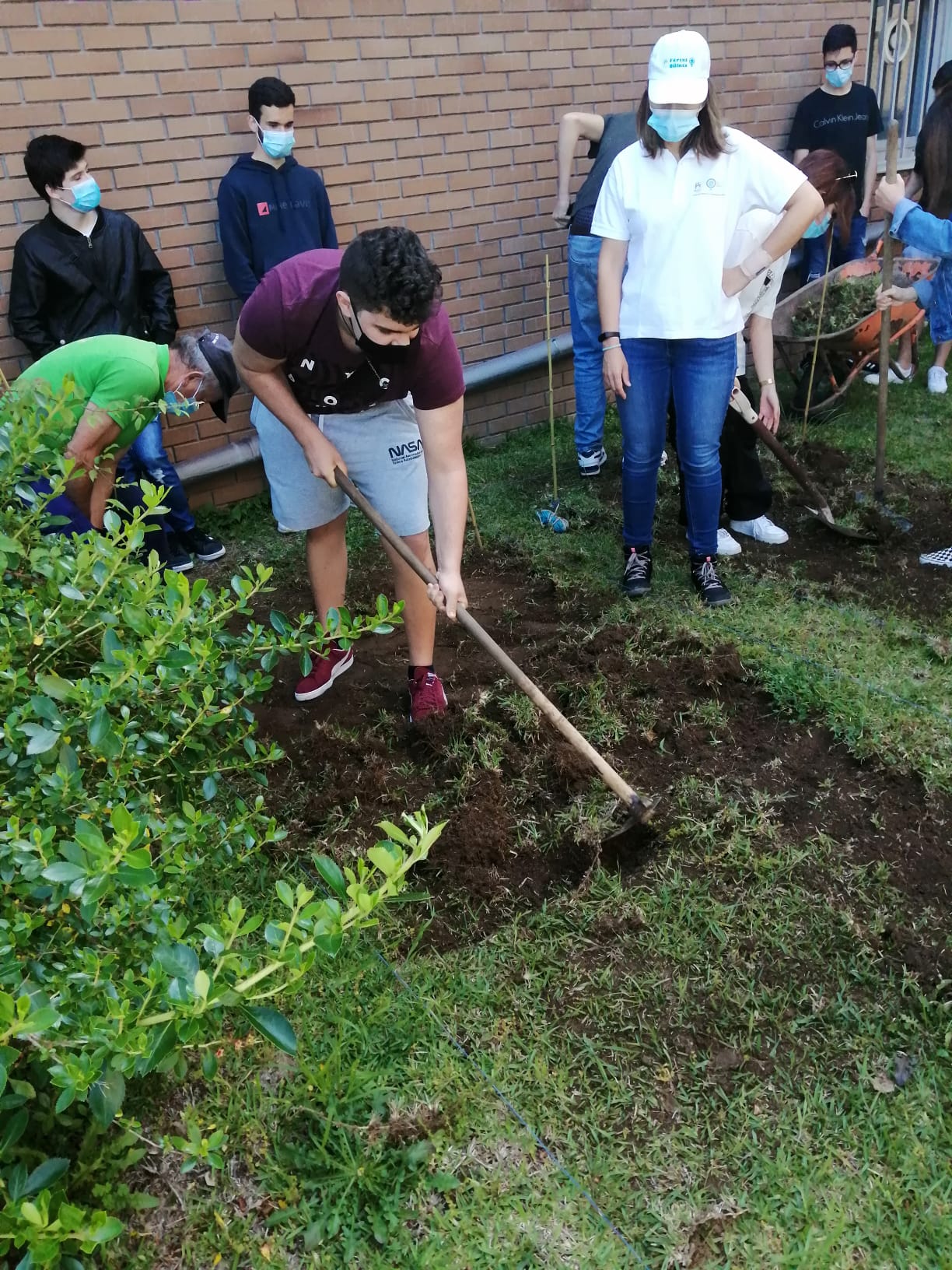 Horta 1