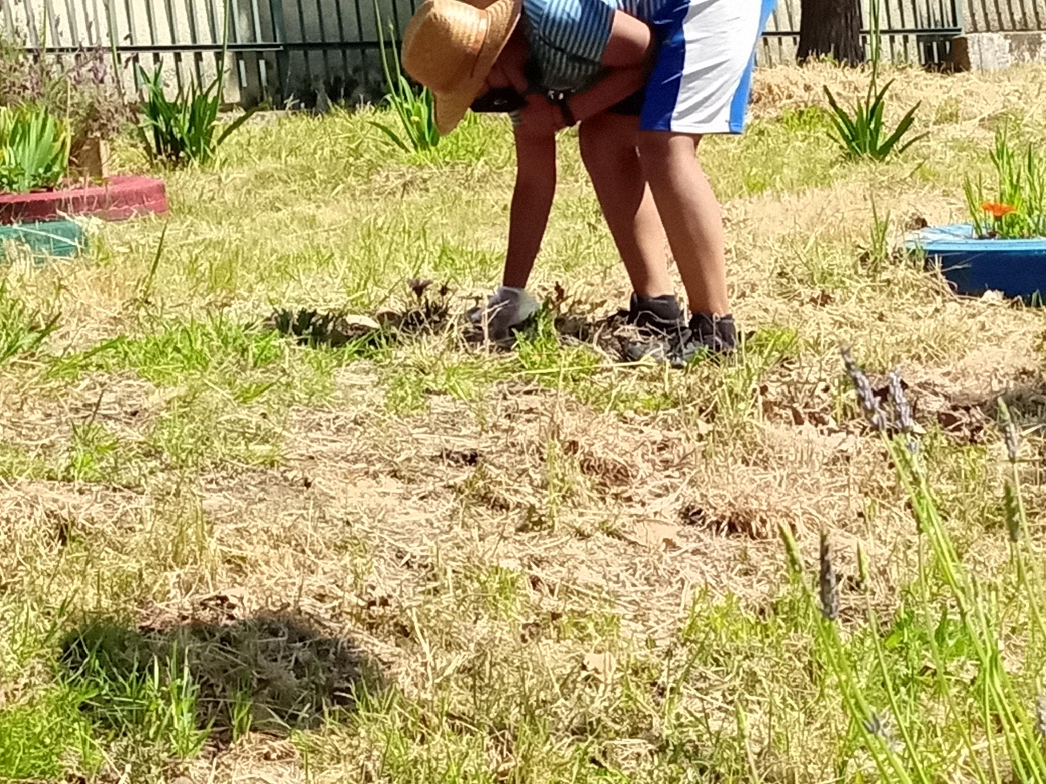 Recuperação do Jardim das Aromáticas (maio de 2021). Limpeza do espaço envolvente do Jardim das Aromáticas.