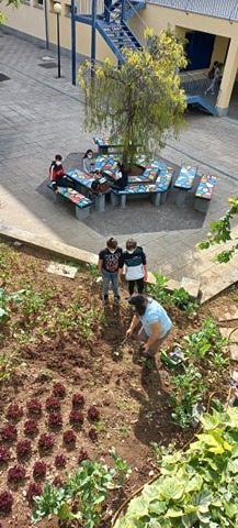Os alunos a serem instruídos para a monda da horta.