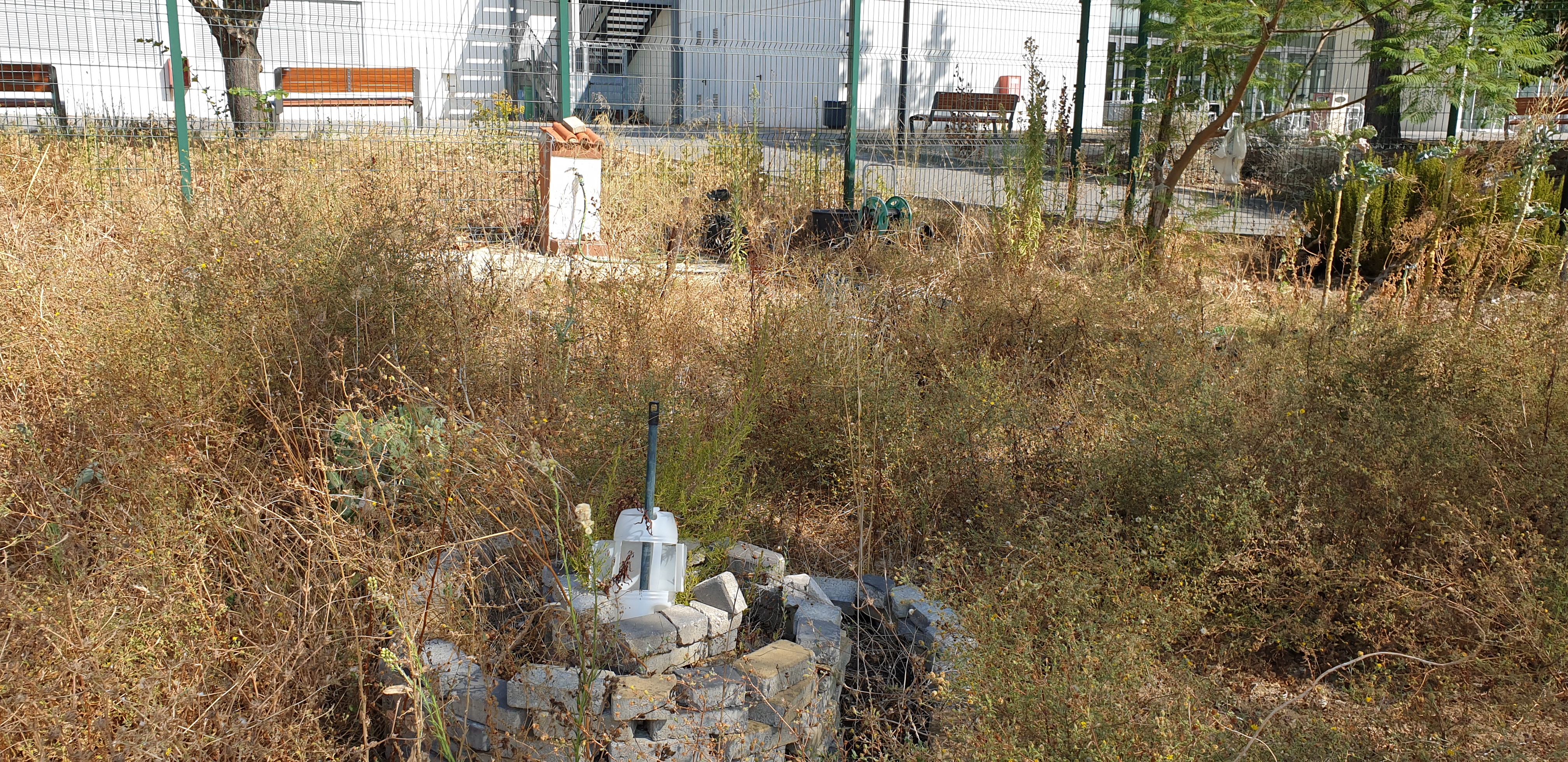 5-horta em repouso