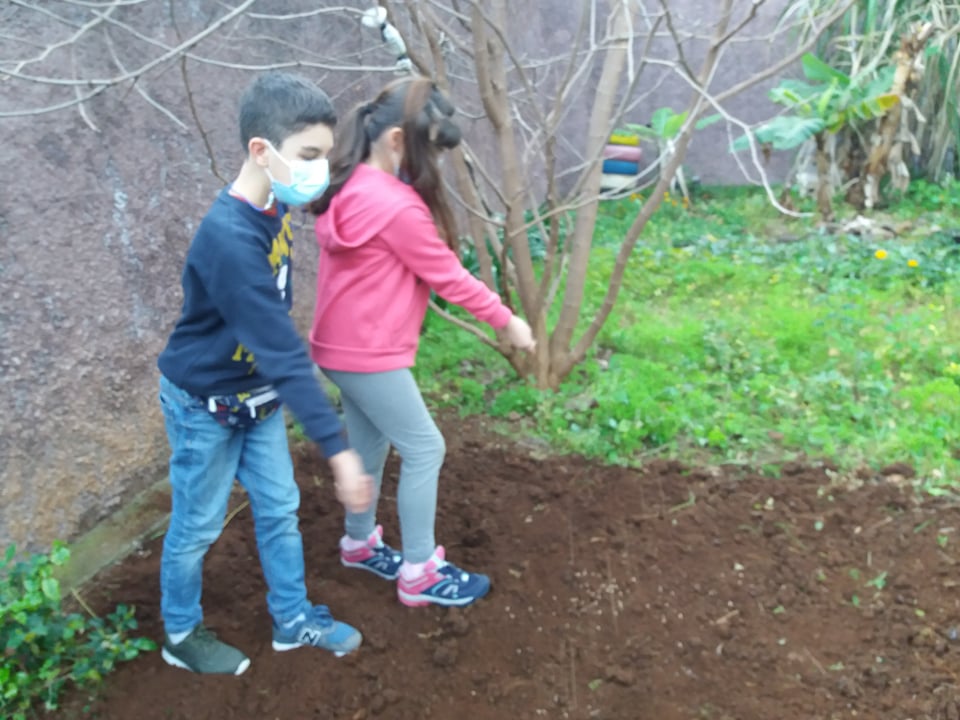 Os alunos do 4.ºA e 3.ºB estão a semear trigo na horta.