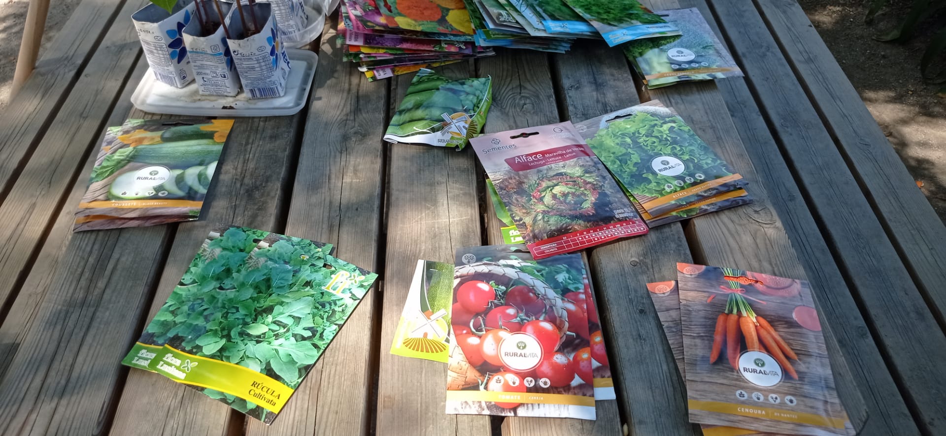 As sementes para a horta