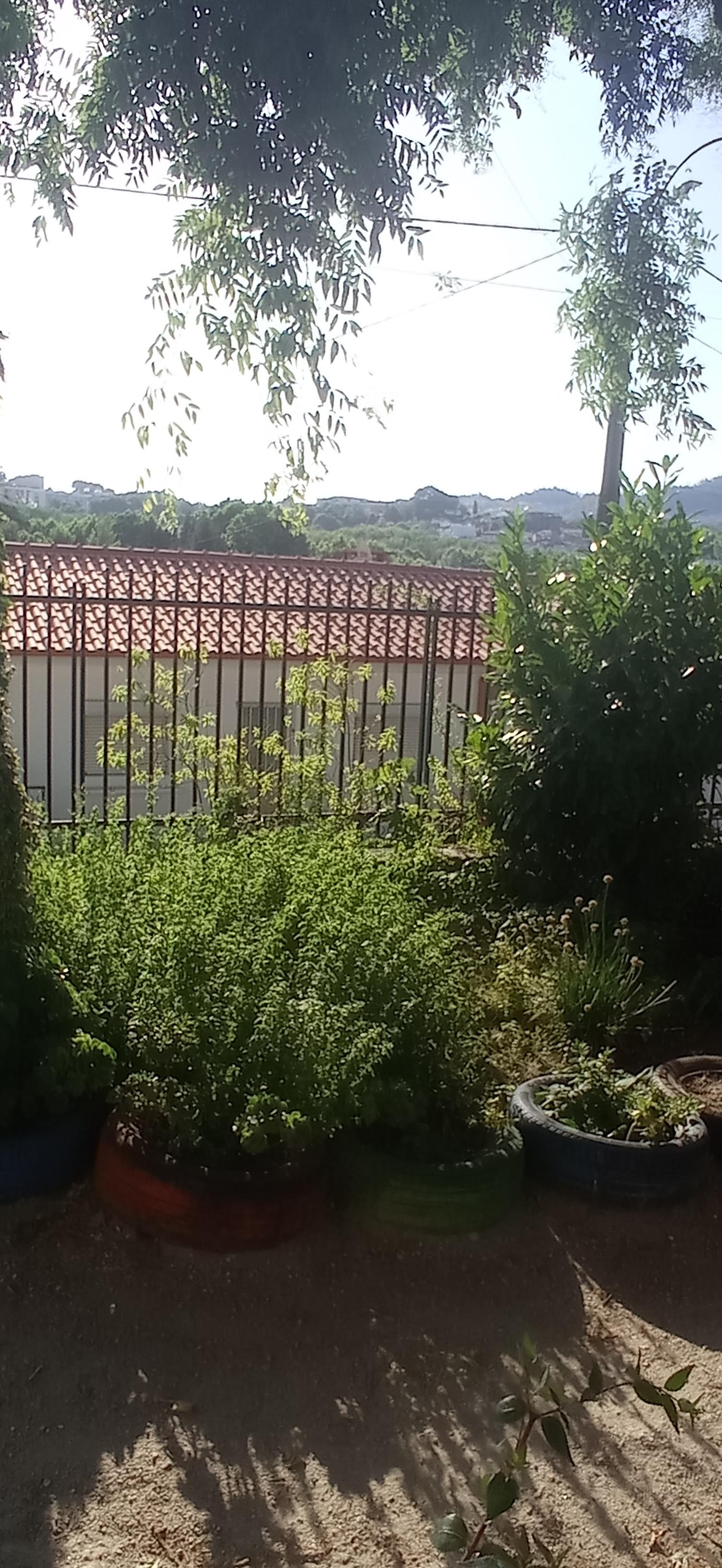A horta das aromáticas