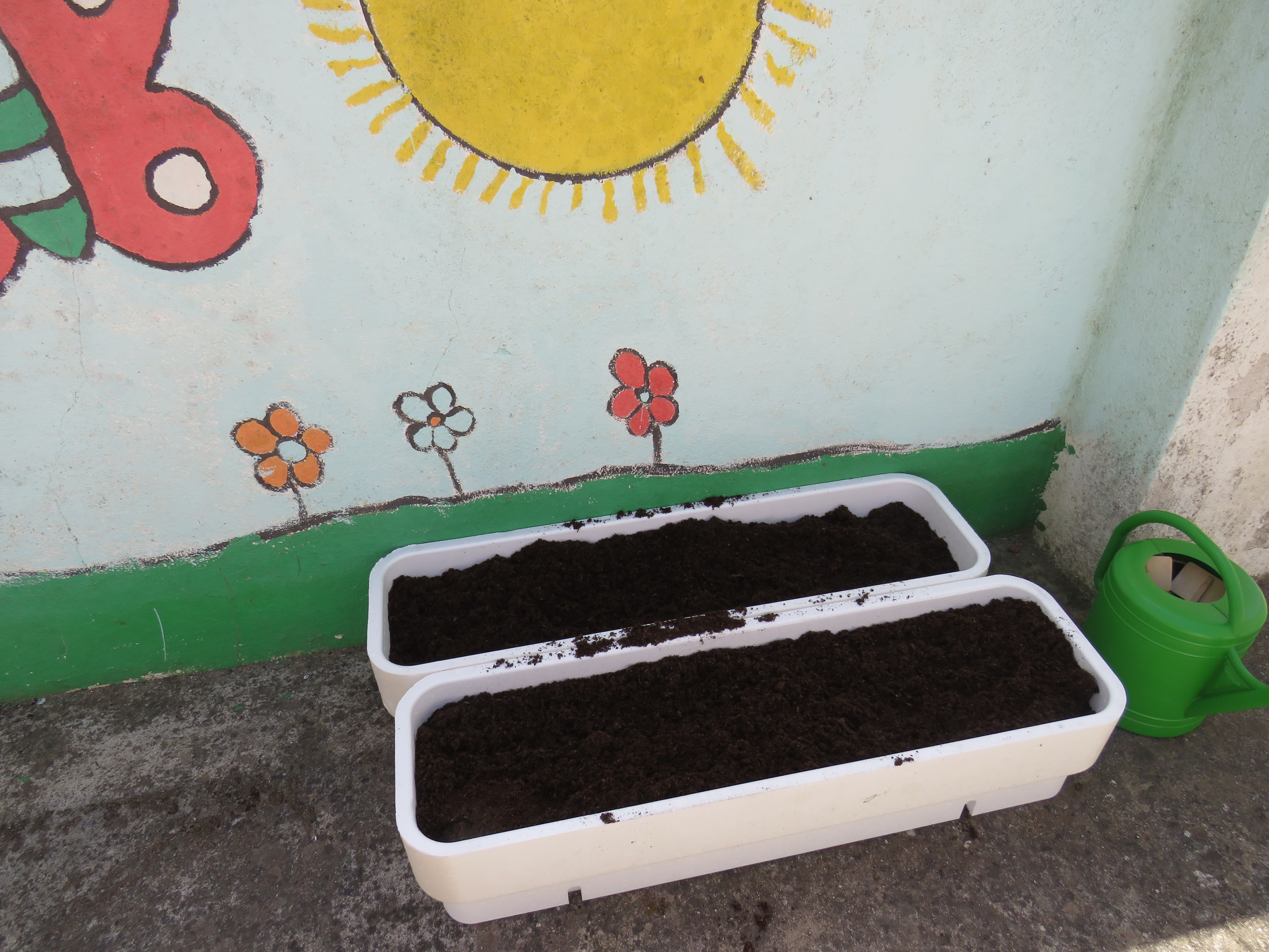Horta em caixas: preparação das caixas para proceder à plantação