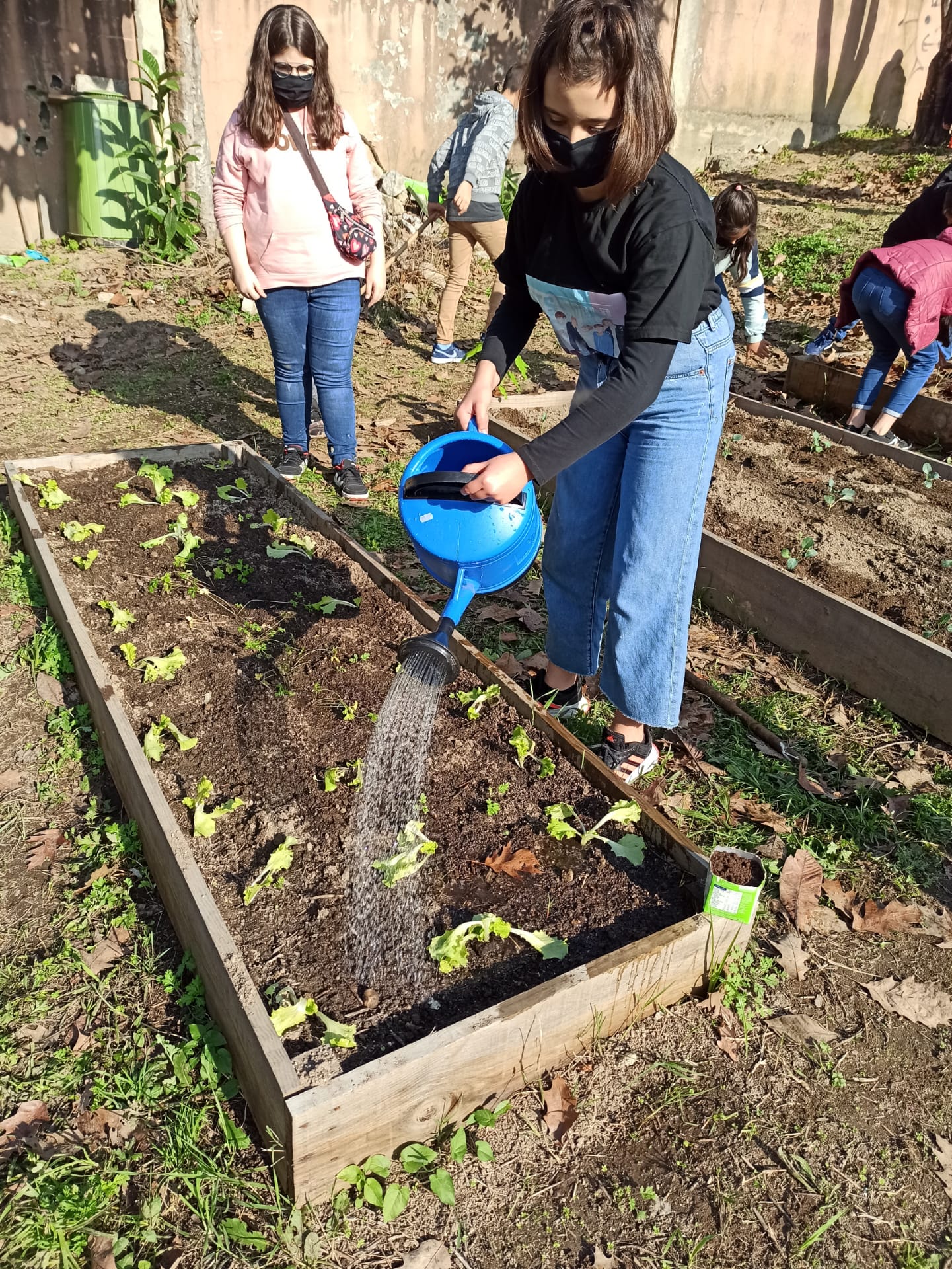 Plantação de algumas culturas