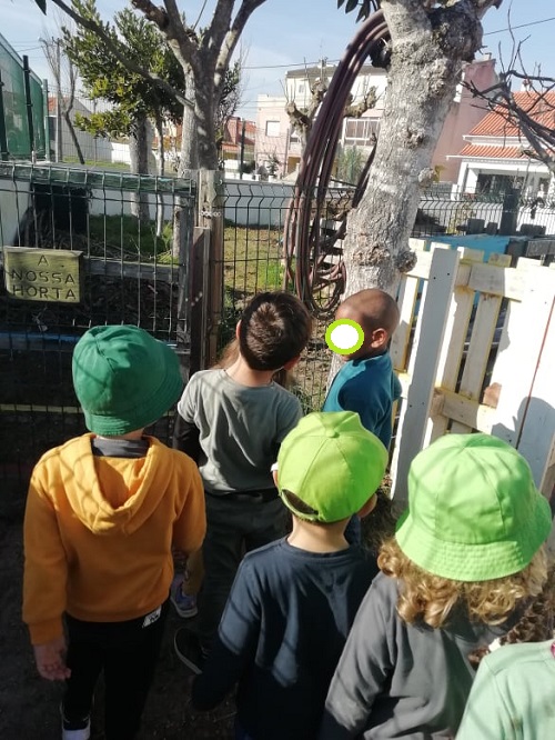 Visita à nossa horta