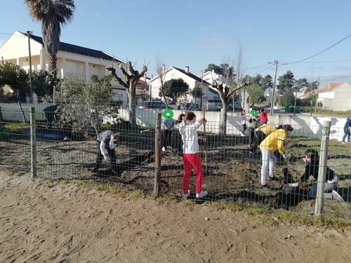 Preparação do espaço da horta com a participação dos alunos
