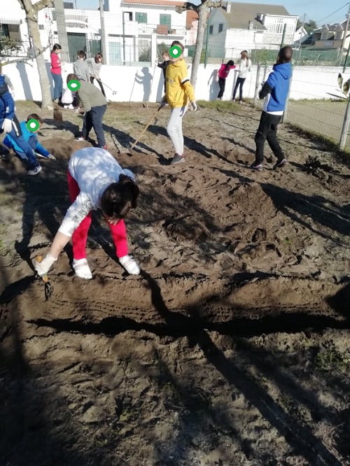 Seleção e preparação do terreno para semear e plantar