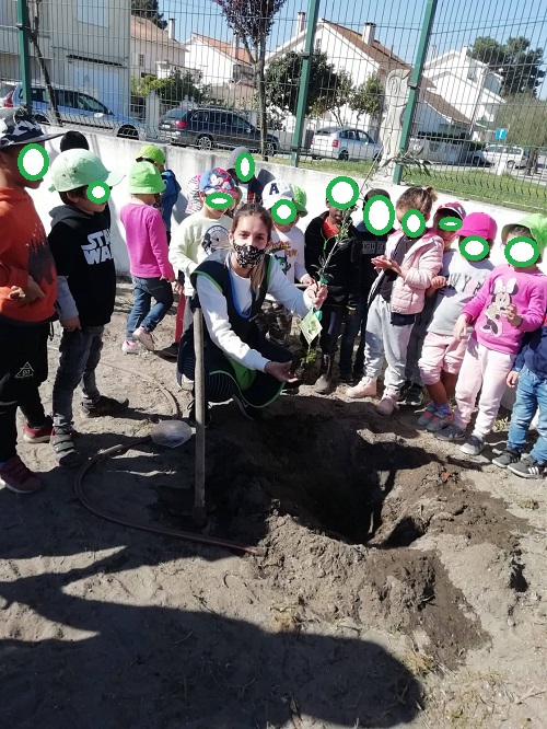 Plantação de uma oliveira, no âmbito da comemoração do Dia Mundial da Árvore