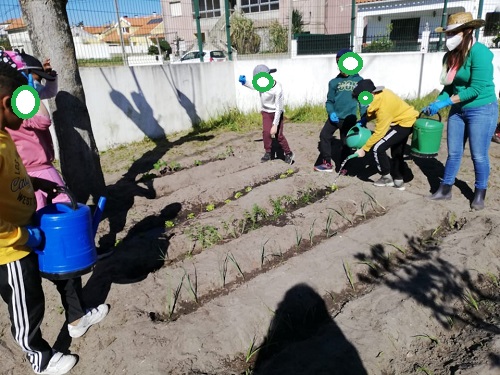 Manutenção das nossas sementeiras/plantações - rega.
