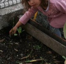 Semear e plantar