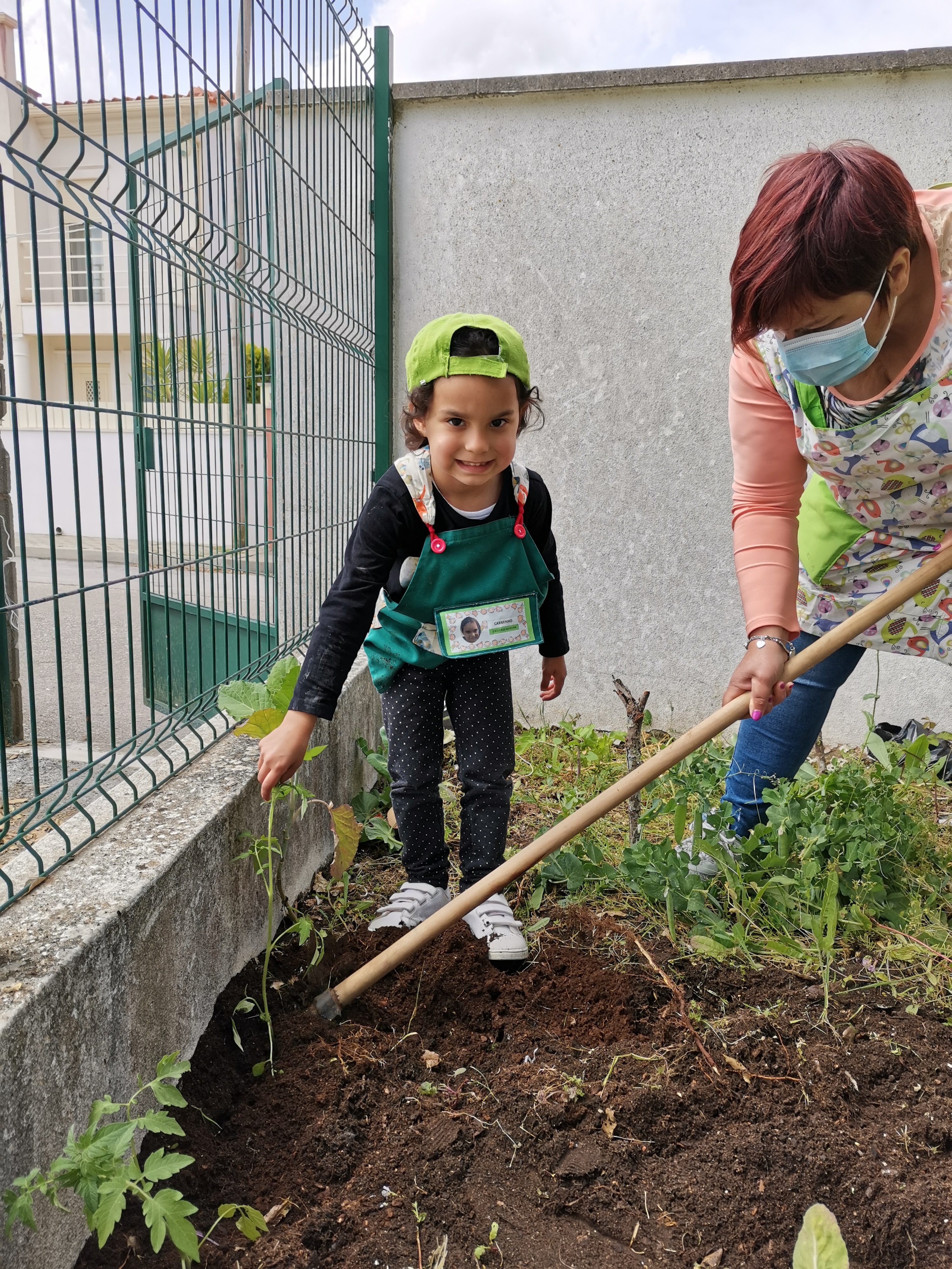 Plantações de primavera - tomateiros