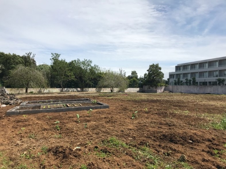 Construção das camas de cultivo