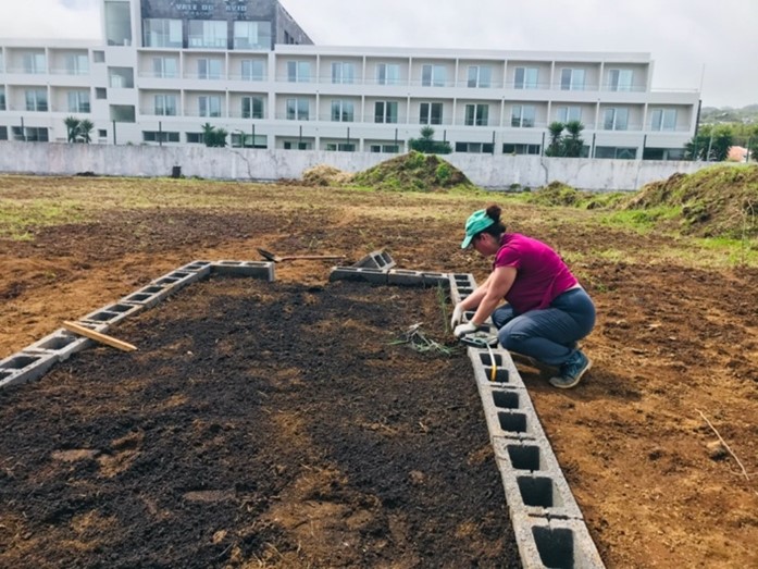 Plantação dos plantios