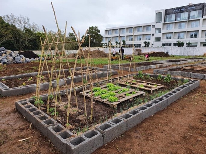 Camas de cultivo