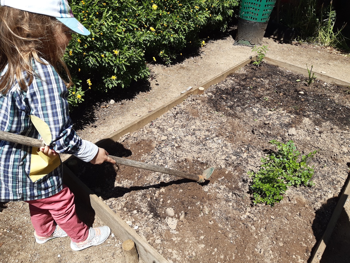 A preparar a terra para novas plantações.